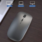 Mouse